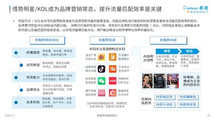 2020中國社會化媒體營銷市場分析報告